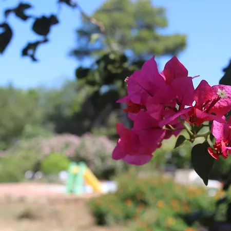 Guest house Mareverde *